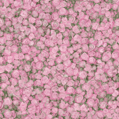 7da5540b780c296166907d836581ebf5