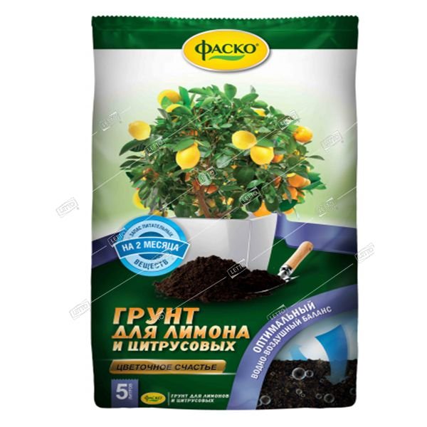 81c3a06dd19078a0da7e746cbf6b114f