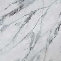 CAT_MACRO_PHOTOeI_HC72319-47_(1)