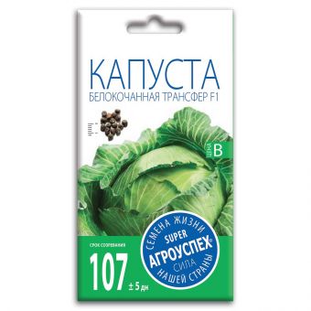 kapusta_belokochannaya_transfer_f1_semena_agrouspekh_0_25g