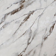 CAT_MACRO_PHOTOoI_HC72319-24_(1)