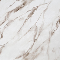 CAT_MACRO_PHOTOdI_HC72319-12_(1)