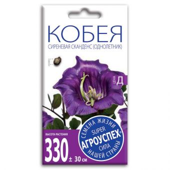 kobeya_skandens_sirenevaya_semena_agrouspekh_0_25g_4sht