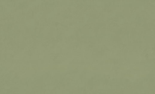 9329-04-раппорт