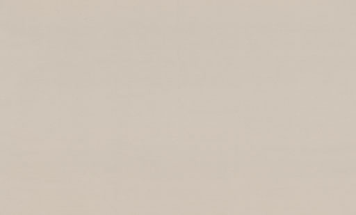 7299-02-раппорт