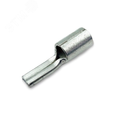 small_nshp_2