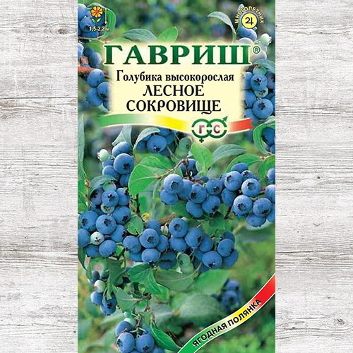 golubika-vysokoroslaya-lesnoe-sokrovisce-semena_1
