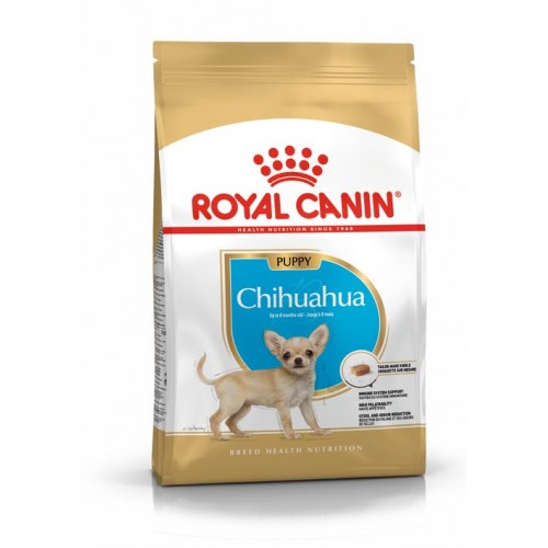 pu-chihuahua-packshot-bhn18-500x500