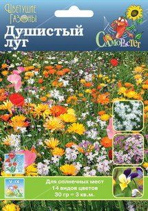 82ed0f48549bc0d5bcab50d4f9baeb4e