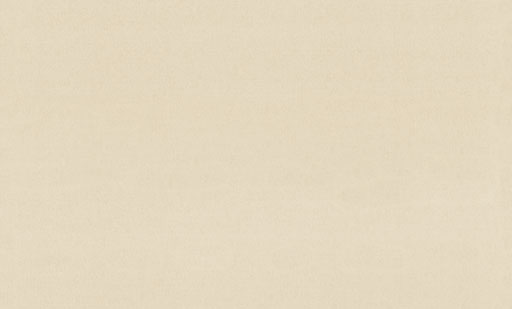 9299-17-раппорт