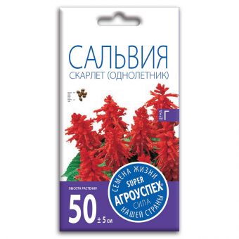 salviya_skarlet_semena_agrouspekh_0_1g