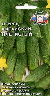 Без названия