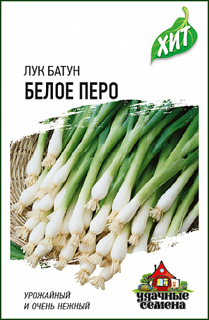 abb348595e68cd529efd60e0e628d14b (1)