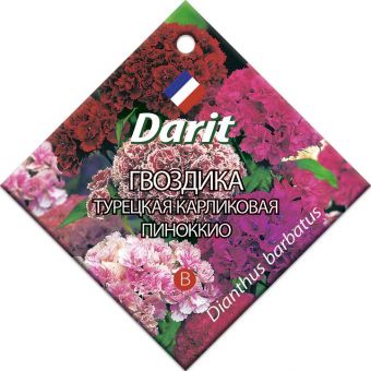 9c208484bbbbcf19f6a088853d63f09a