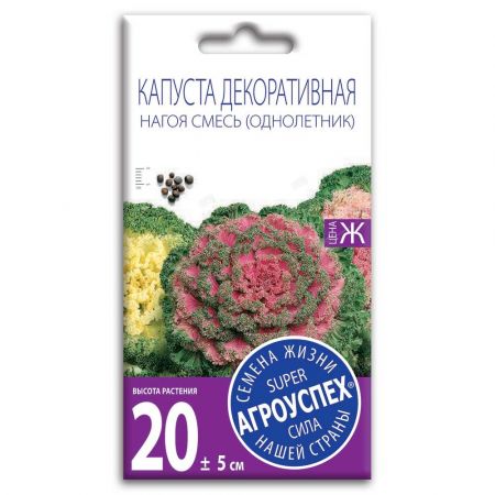 lts_kapusta_dekorativnaya_nagoya_f1_o_10sht_500