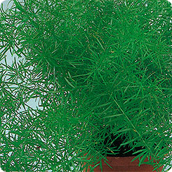 099f79f6_3376_11e0_a529_000d882ccdb5_bf216799_6bfc_11e3_9490_3c4a92d5c739