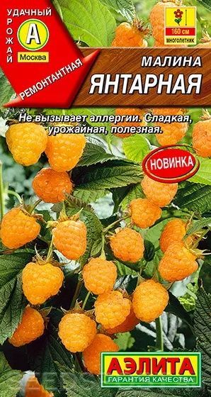 a_malina_yantarnaya_h160sm_och_sladkaya_ne_vyzyv_allergiyu_0_05g_novinka22
