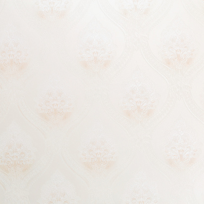 CAT_MACRO_PHOTOxImg_HC71854-11_(1)