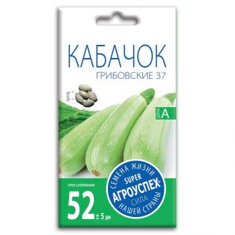 kabachok_gribovskiy_37_semena_agrouspekh_3g