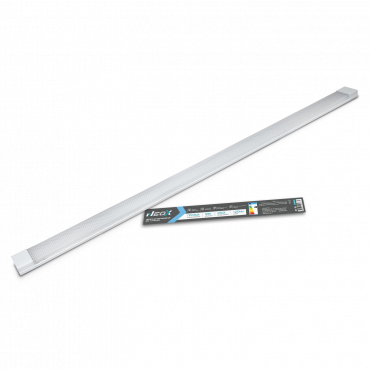 B7C8A17A9BAB8855279A03F32E38BA1E