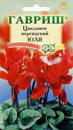 a5f48d7f707421befd59ba7fbb31c7e4