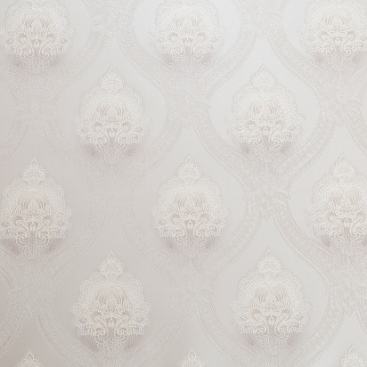 CAT_MACRO_PHOTOgImg_HC71854-21_(1)