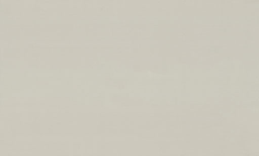 7299-11-раппорт