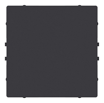 ATN001009 ЗАГЛУШКА Карбон SE