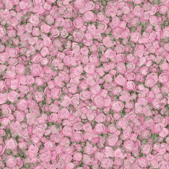 Линолеум ТАРКЕТТ Флер Роуз2    3,0м  25/75