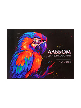 Альбом д/рисования А4 40л на скобе Calligrata Black обл мел карт МИКС 9422617