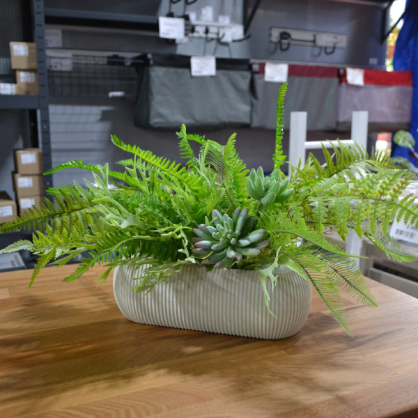 upd mix sukkulentov (1412)