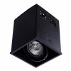 potolochnyy-svetilnik-arte-lamp-cardani-a5942pl-1bk-2