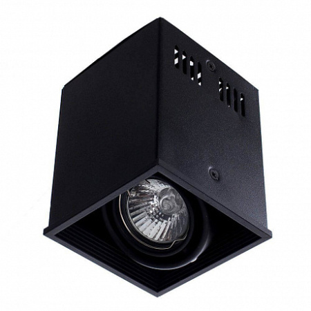 potolochnyy-svetilnik-arte-lamp-cardani-a5942pl-1bk-2