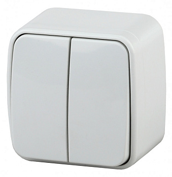 Выключатель 2кл О/У БЕЛЫЙ 10А IP20 INTRO POLO 3-104-01 ЭРА Б0036095