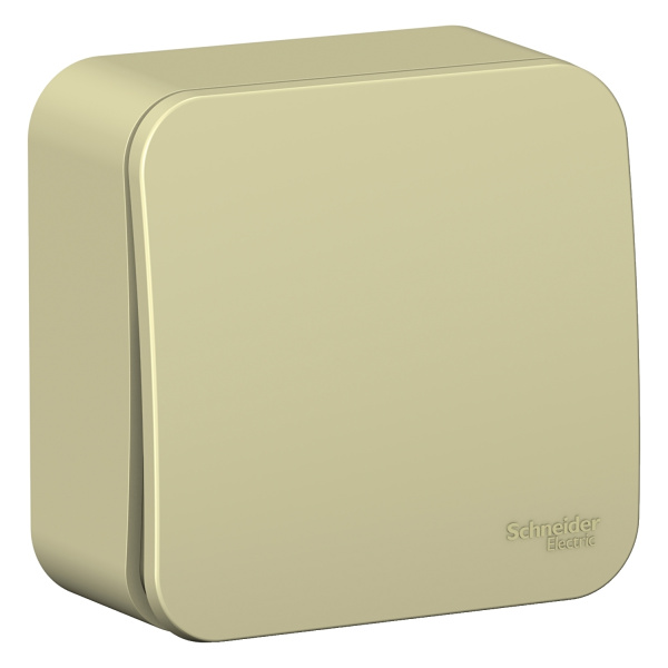 BLNVA101017_1500x1500