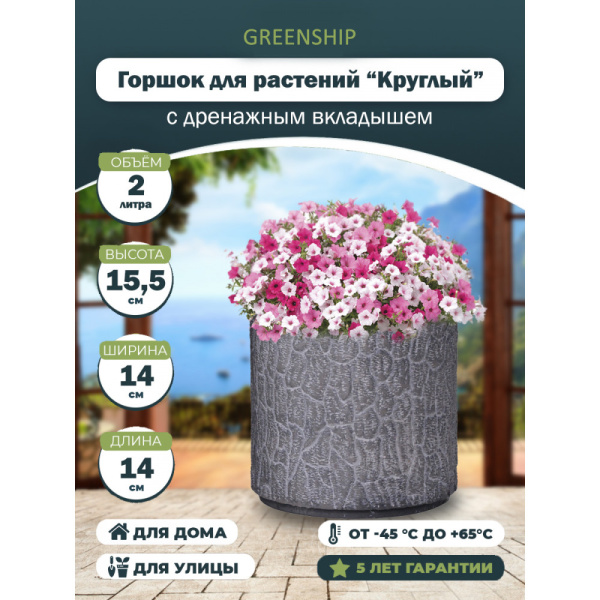 y17d16ass-1-1000x1000