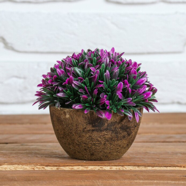 upd bonsai cvet listiya