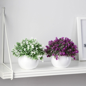 Бонсай в горшке "Лаванда декоративная" 8х10см микс 9750516