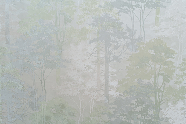 11218-04-rap-oboykin-domingo-forest