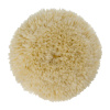 image_0