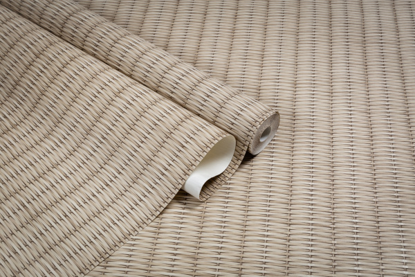 CAT_MACRO_PHOTOxI_TC72456-28_(5)