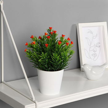 Бонсай в горшке "Остролист с цветочками" 8х18см микс 4142815