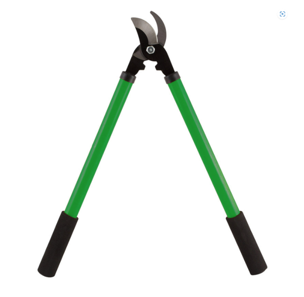 g4ovmd3tb3b3sf8h3vs2jjdbx7rd0zst