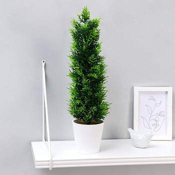 Бонсай в горшке"Туя стройная" 10х40см h горшка 9см 4293928