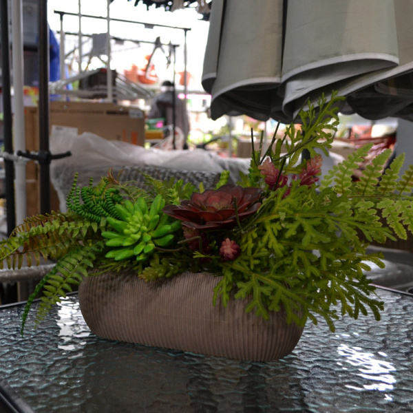 upd mix paporot sukkulent