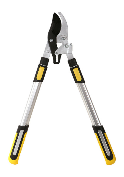 a7e8caca-d204-11ed-9559-00505690a4dd