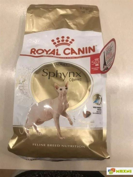 roial-kanin-dlia-sfinksa-7