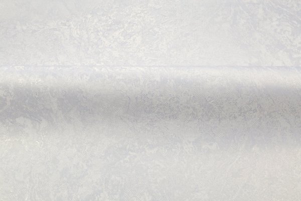 CAT_MACRO_PHOTOpI_PL72366-12_(3)