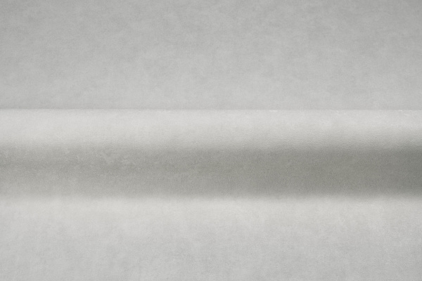 CAT_MACRO_PHOTOyI_SL72472-40_(3)