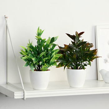 Бонсай в горшке "Людвигия галант" 7,5х18 см, микс 9789747